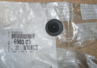 Заглушка кузов c berlingo ii 6983.03 af фото №1