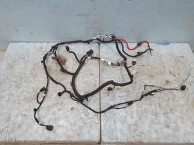 Жгут бампера ford mustang mach-e перед фото №1