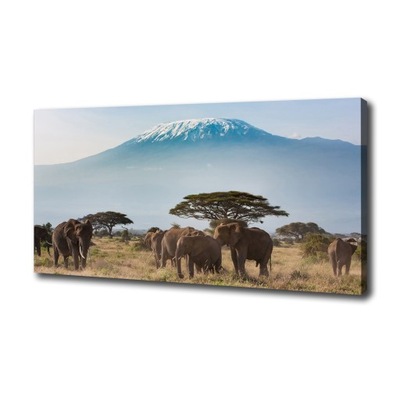 Obraz na płótnie foto Słonie Kilimandżaro 120x60cm