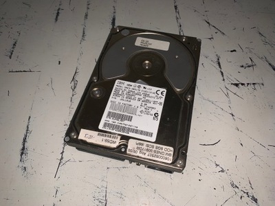 Dysk IBM DNES-309170 9 GB SCSI