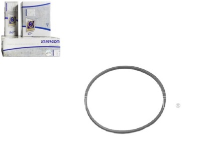 Прокладка насоса пального renault clio ii espace iv kangoo express фото №1