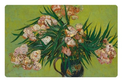 Magnes Oleanders Vincent van Gogh