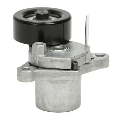 Натяжитель ремень многоручейковый hyundai accent iii, accent iv, elantra, getz фото №1