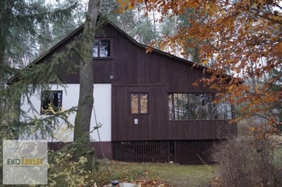Dom, Obryte (gm.), Pułtuski (pow.), 50 m²