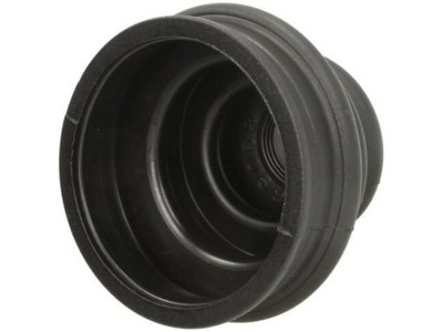 PROTECTION AXLE SWIVEL D8122/AUF AUTOFREN SEINSA  