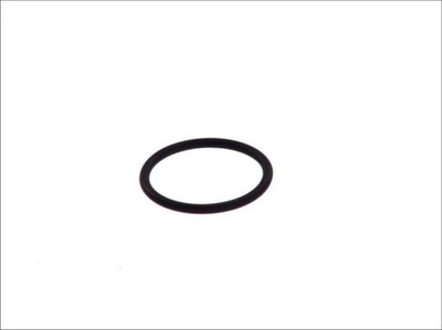 GASKET (MOTORS 6-CYLINDROWE) RVI  