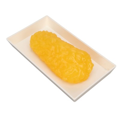 Model demonstracyjny tkanki tłuszczowej człowiek