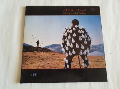 PINK FLOYD - DELICATE SOUND OF THE THUNDER 2LP(NM)