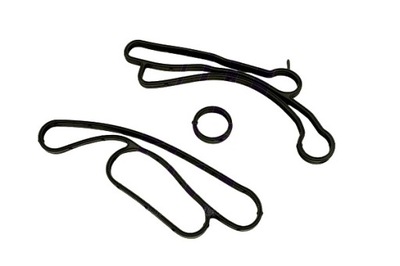 Fast ft48938 прокладка, радиатор масляная фото №1