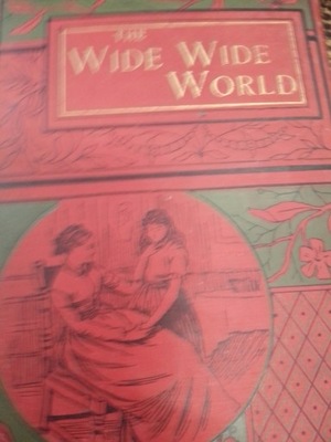 Wetherell THE WIDE WIDE WORLD 1890
