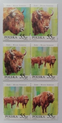 Fi 3481-84** kombinacje