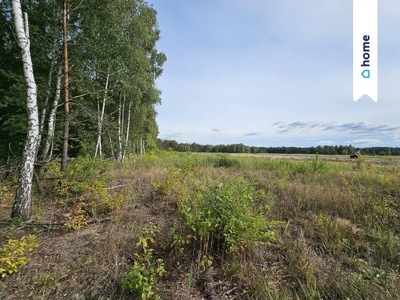 Działka, Sobieńki, Osieck (gm.), 1270 m²