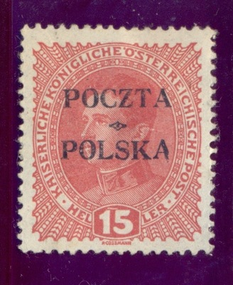 Polska Fi.35 *.