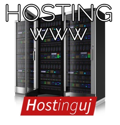 HOSTING SERWER WWW STANDARD 2 GB PL SSL HTTP3