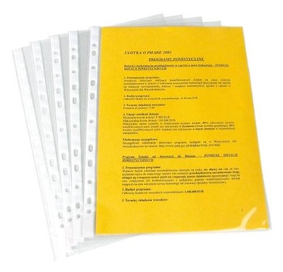 KOSZULKA A4 GROSZKOWA 100SZT