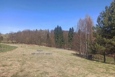 Działka, Laliki, Milówka (gm.), 3347 m²