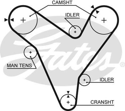 РЕМЕНЬ ГРМ GATES 5379XS