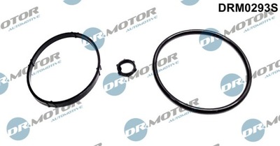 DR. MOTOR JUEGO DE FORROS DE FILTRO ACEITES PEUGEOT 206 1.1/1.4 98-  