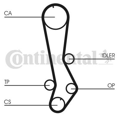 CONTINENTAL CT876 CORREA DISTRIBUCIÓN  