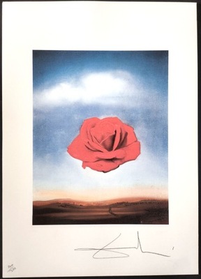 Salvador Dali " Róża medytująca " sygnowana