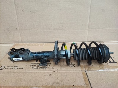 Ford ecosport 2 ii 1.0 ecoboost амортизатор лівий перед 2012-2017 фото №1