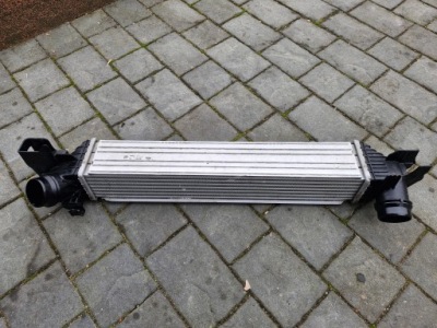 Bmw 1 f40 інтеркулер оригінал фото №1