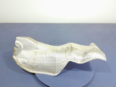 Toyota rav4 v xa50 захист теплова фото №1