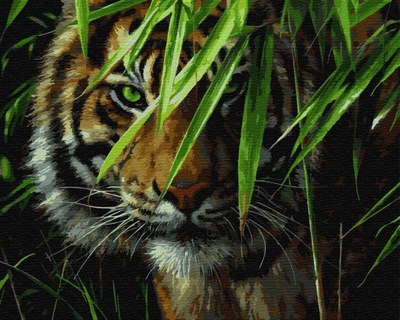 Malowanie po numerach - zestaw Artimento - Tygrys