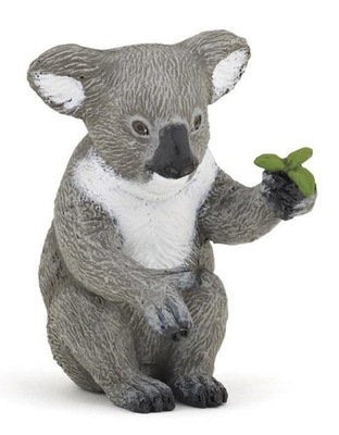 KOALA, PAPO