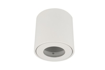 Oprawa SPOT sufitowa natynkowa LEDLine ALUMINIUM DOWNLIGHT IP44 BIAŁY