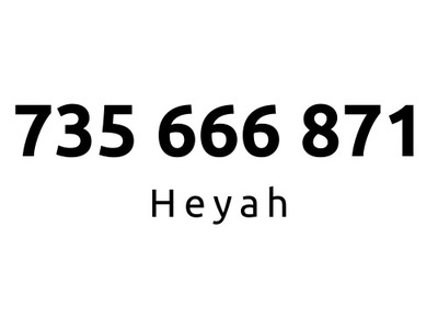 735-666-871 | Starter Heyah (66 68 71) #B