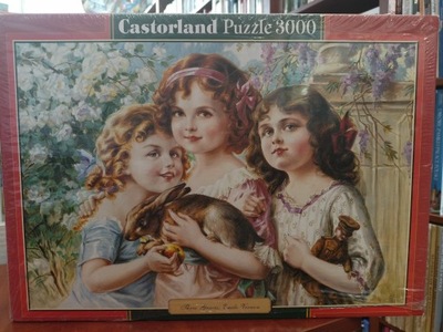 Puzzle Castorland 3000 elementów