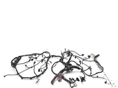 Жгут электропроводка отсек двигателя renault latitude 2.0 dci фото №1