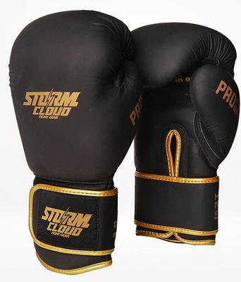 Rękawice bokserskie StormCloud Boxing Pro 10 oz