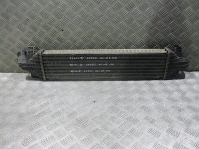 Інтеркулер ford focus ii 04-07 фото №1