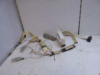 Clio iii 05-09 лампа освітлення стельовий електропроводка стрічка колодка kpl фото №1