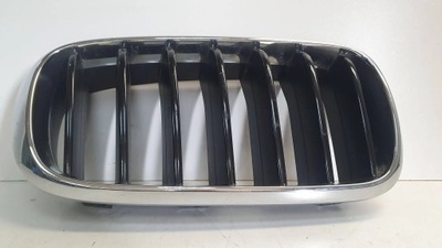 NERKA GROTELĖS DEŠINIOJI 7373690 BMW X6 F16 14- 