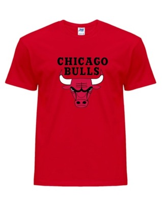 KOSZULKA NBA CHICAGO BULLS XS