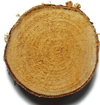 TANIE Drewniane plastry drewna brzoza 8-10 cm g1cm