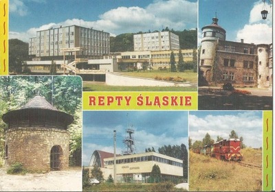 REPTY ŚLĄSKIE WOJ ŚLĄSKIE