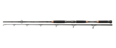 Wędka Team Daiwa Mode 2.0 Catfish - 2,80m 150-300g