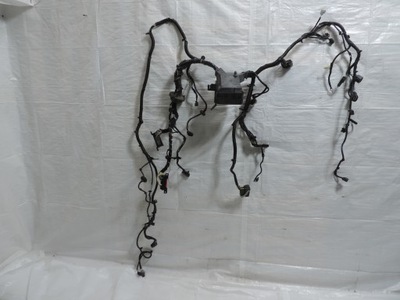 Ford ecosport 1,0 ecoboost коробка предохранителей fn1t-14k012-ha фото №1