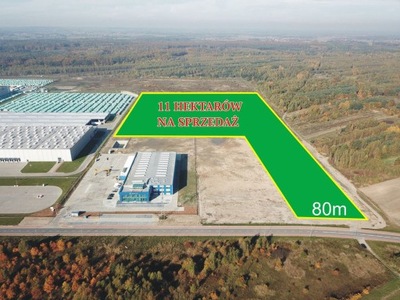 Działka, Opoczno, Opoczno (gm.), 110000 m²