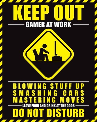 Plakat do pokoju gracza Gamer At Work 40x50 cm