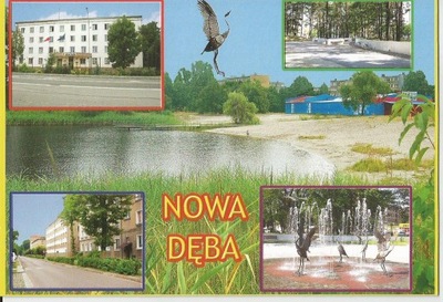 NOWA DĘBA