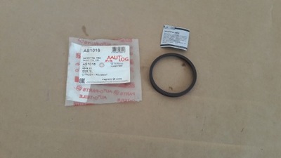 ANILLO ABS PARTE TRASERA L/P CONVIENE DO: CITROEN C3 II, C3 PICASSO, C4, C4 GRA  