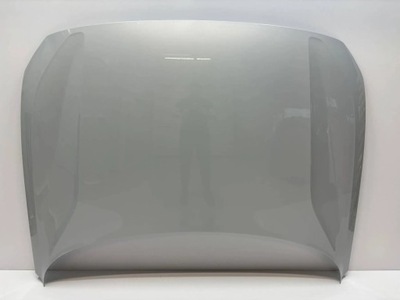 Polestar ii капот фото №1