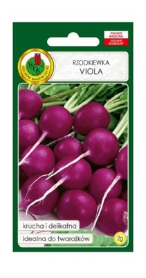 Rzodkiewka Viola 2 g PNOS