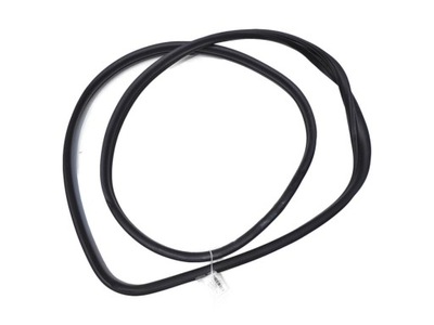 Прокладка дверь левый задняя scenic ii фото №1