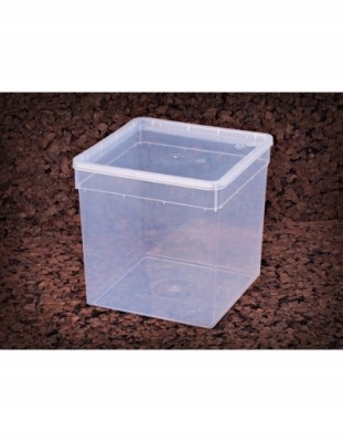 Pojemnik hodowlany BRAPLAST 19x19x19 cm
